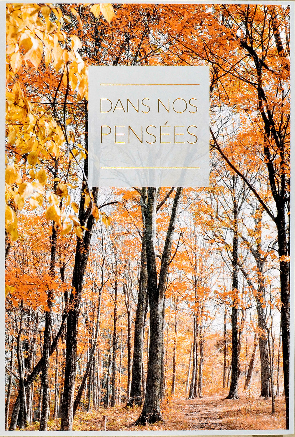 ABC Trauerkarte Französisch 43894 Herbstwald farbig
