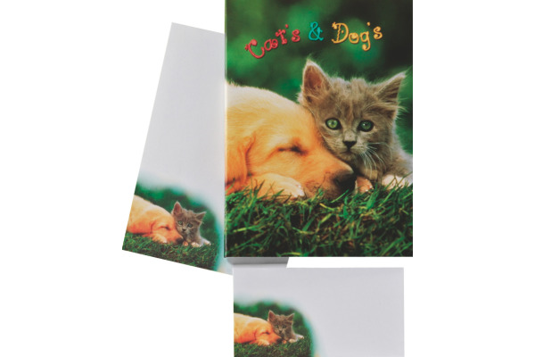 ROOST Papier/Couverts Cat and Dog 180357 80g, grün/gelb 2x10 Stück